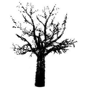 immagine di un albero natalizio disegnato